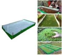 Azolla Growing Bed For Cultivation